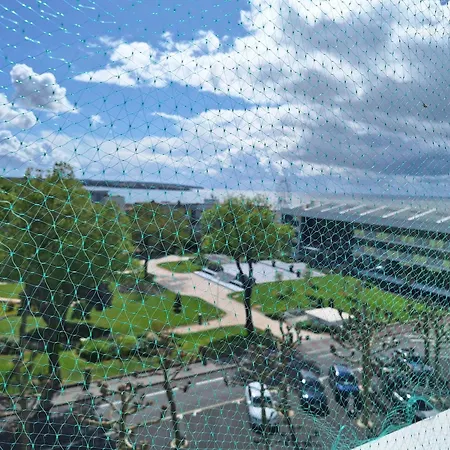 Les Perroquets * Royan