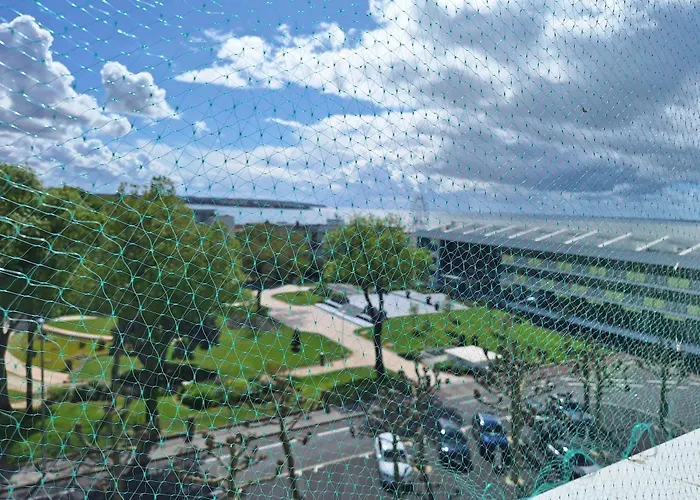 Les Perroquets * Royan