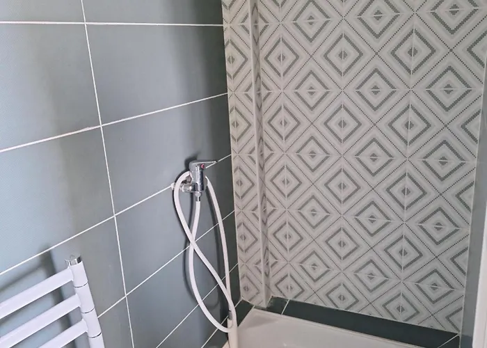 Les Perroquets Apartment Royan